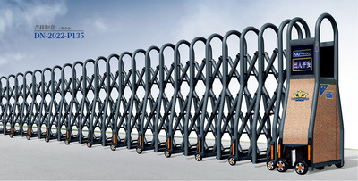 吉祥如意DN-2022-P135